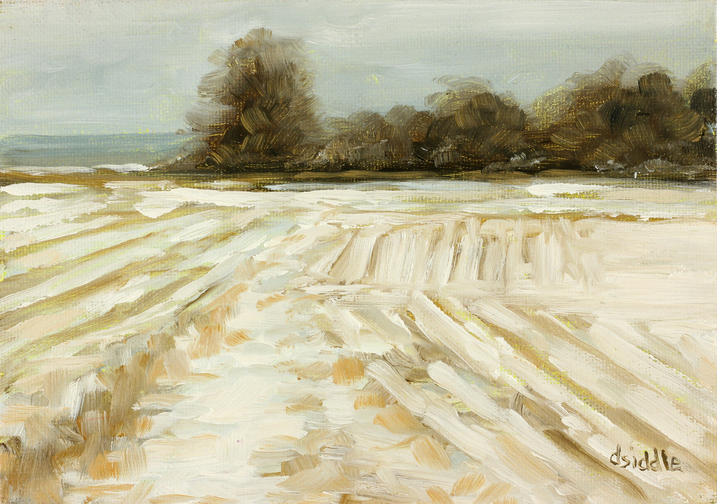 Hill Fields - Bishop Auckland - Winter