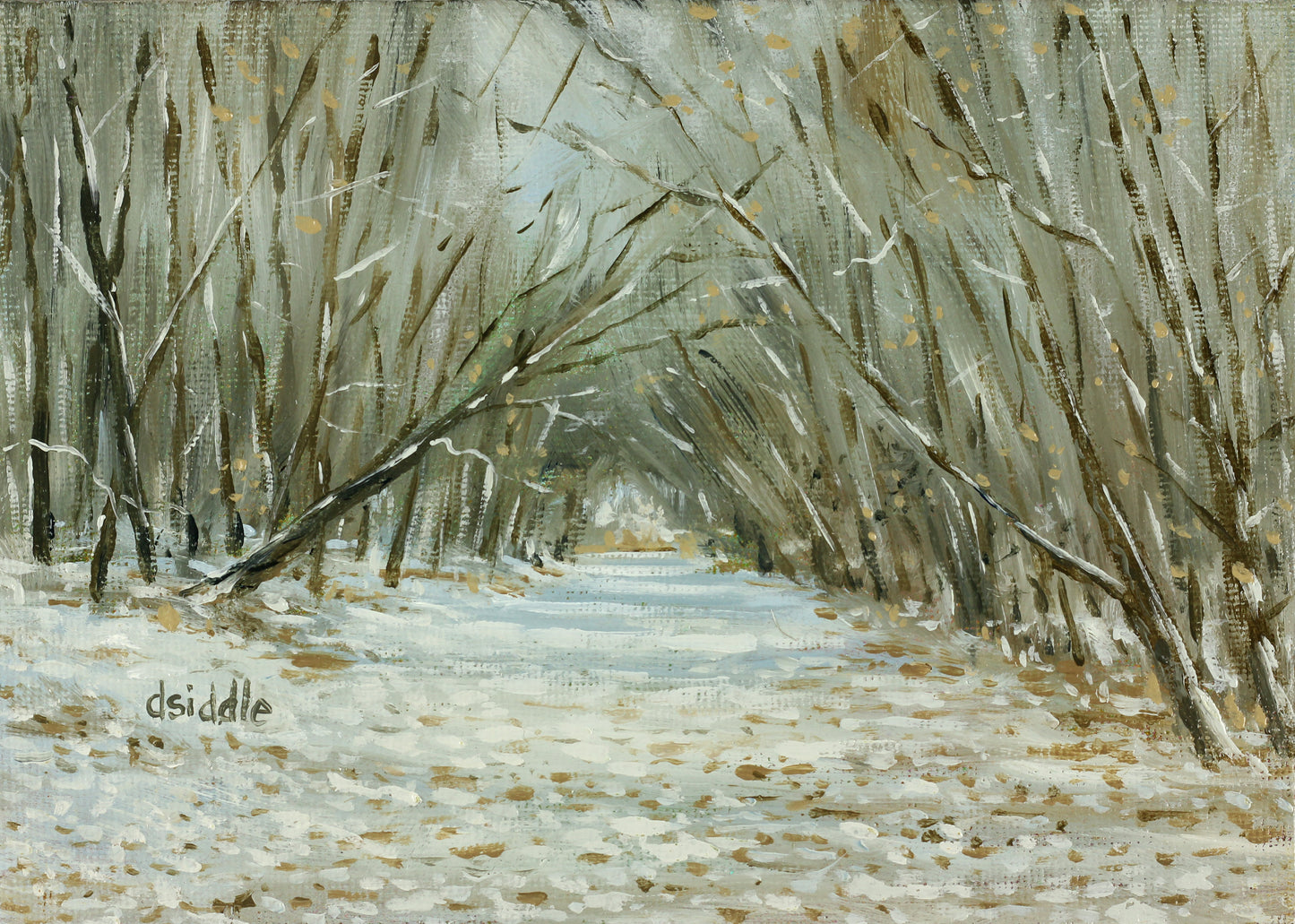 Park Avenue - Bishop Auckland