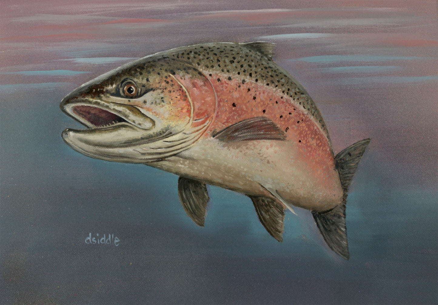 Salmon