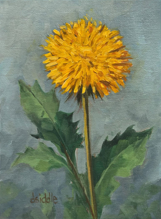 Dandelion sketch