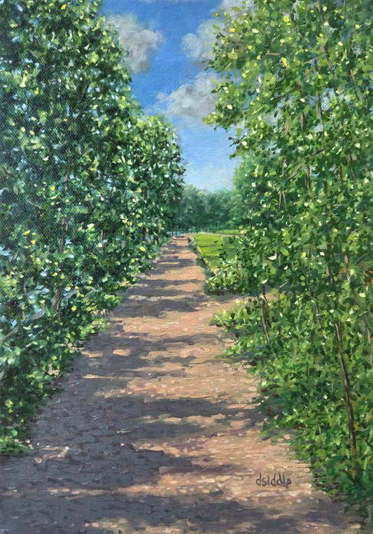 Dukes Meadows Thames Path
