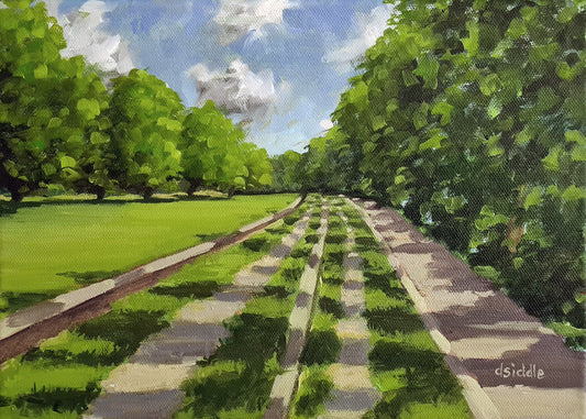 Dukes Meadow River Path 01