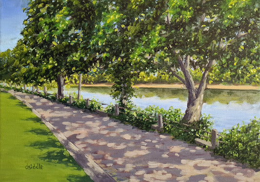 Dukes Meadow River Path 02
